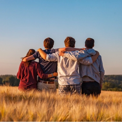 Friends arm in arm in field